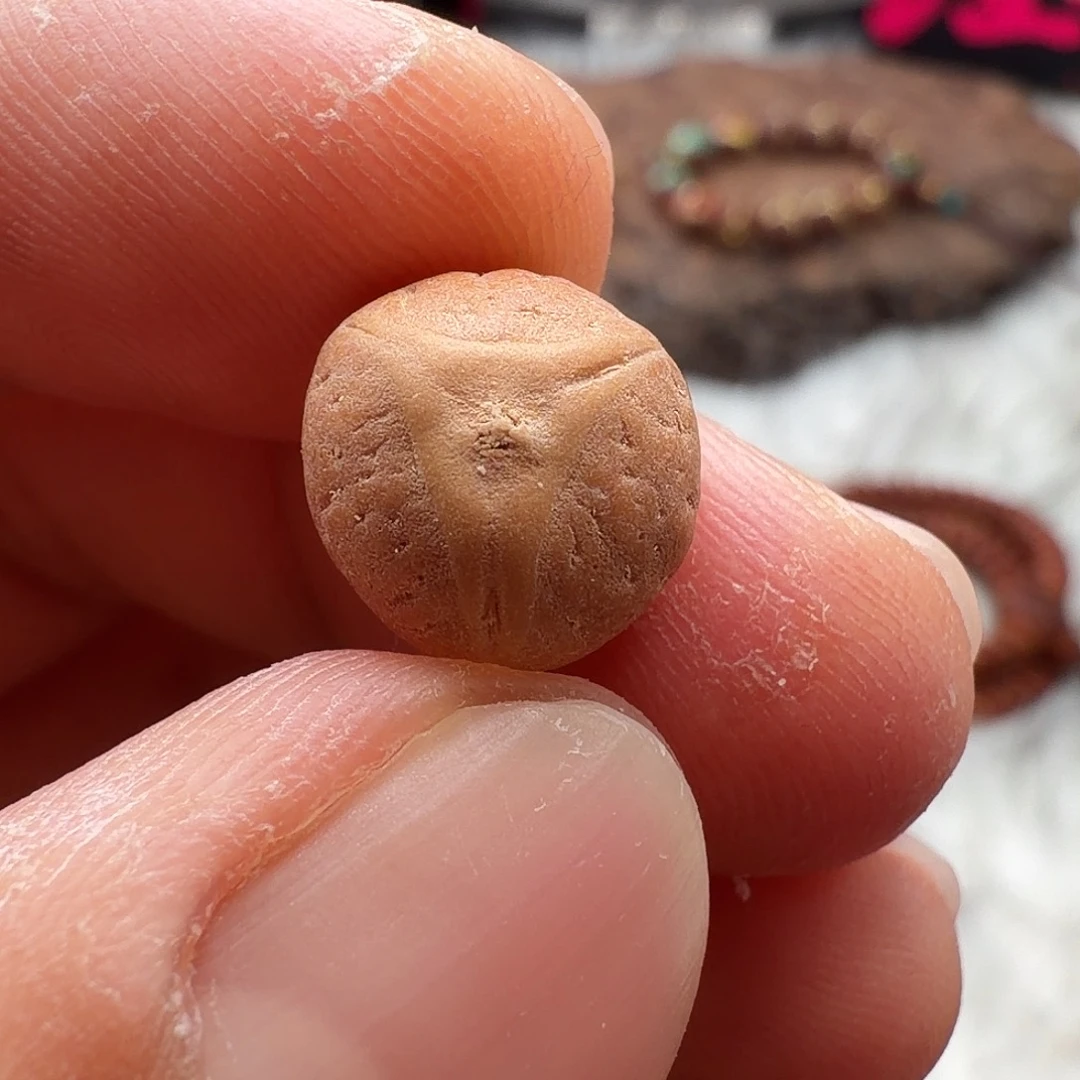 凤眼菩提吊坠实心龙