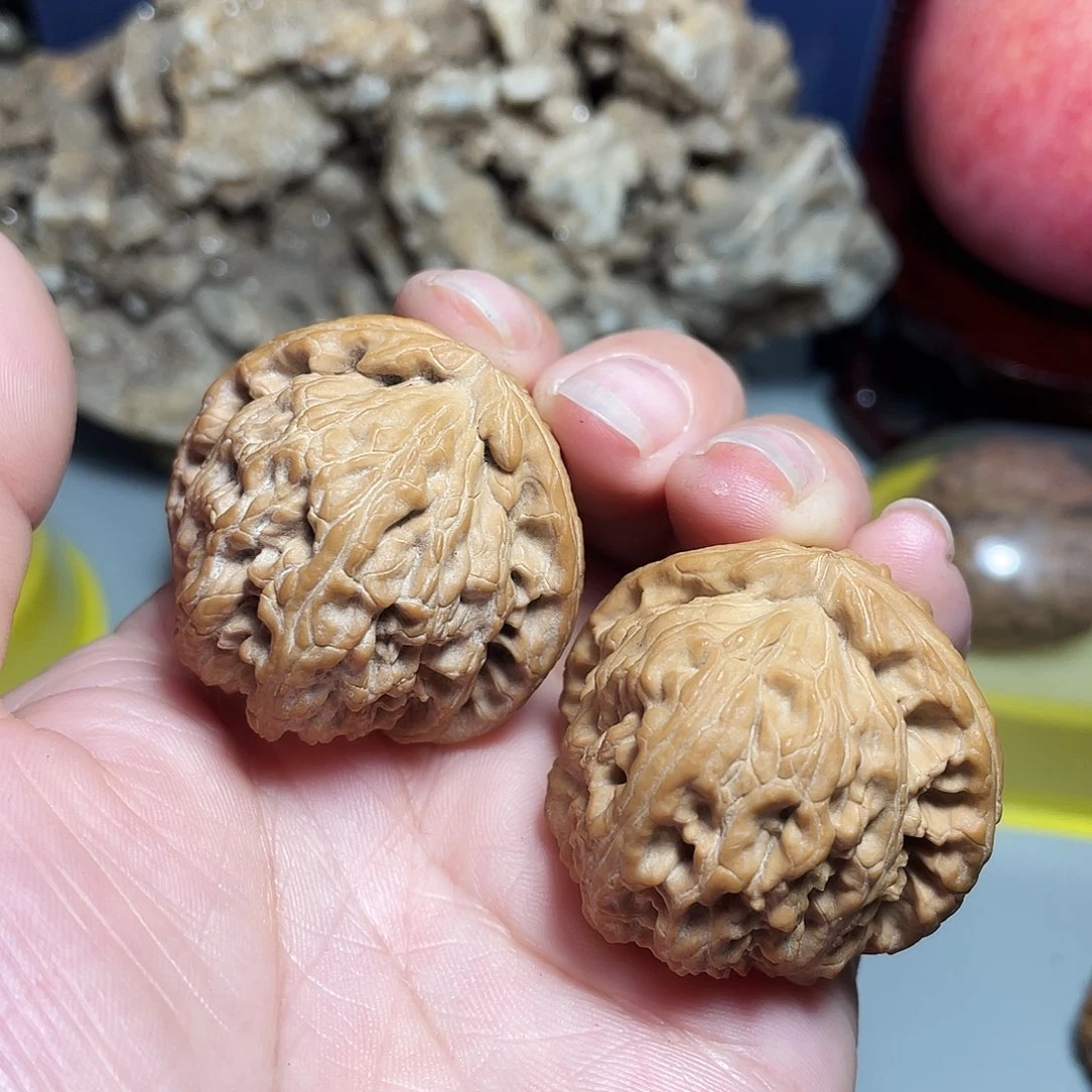 核桃手串/手链精品白狮子37加