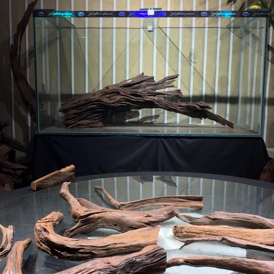 相***。香榧木一物一拍鱼缸造景