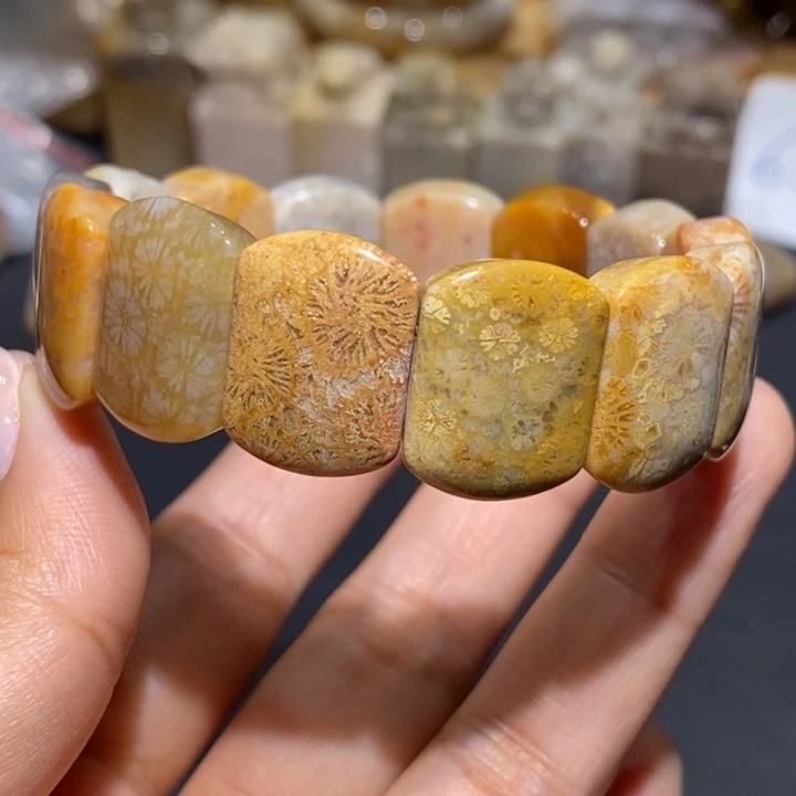 【闪购商品】未镶嵌珊瑚玉硅化玉