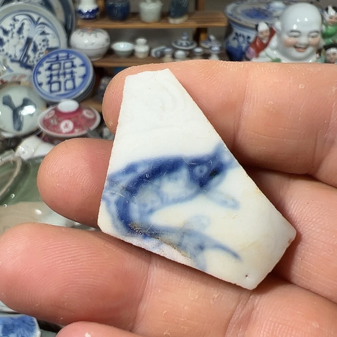 瓷片瓷片标本，全场包邮