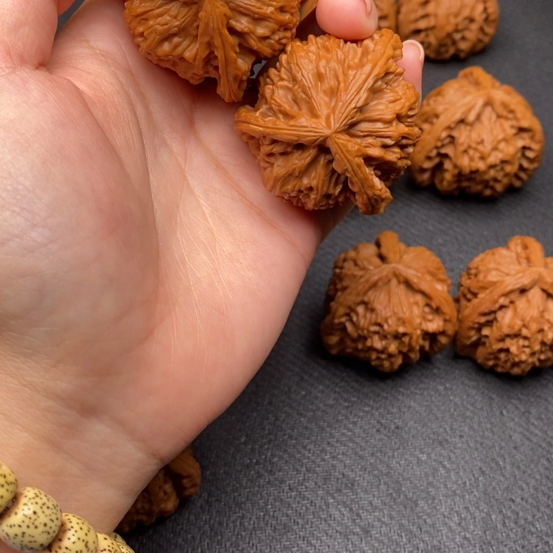 龙白狮子1111111111