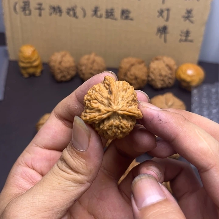 一***叁菩提籽类137三棱丁