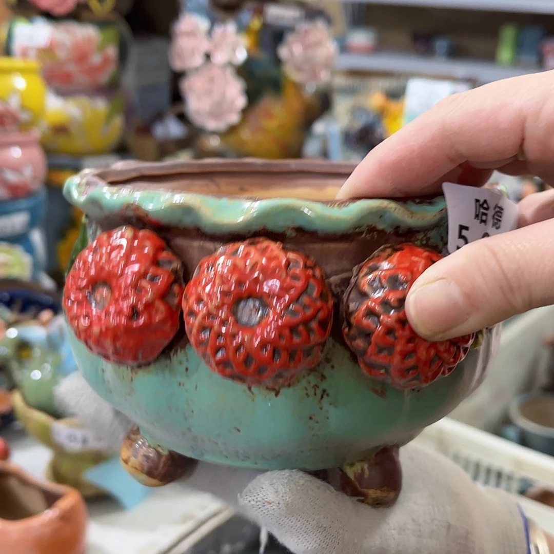 【闪购商品】红陶566