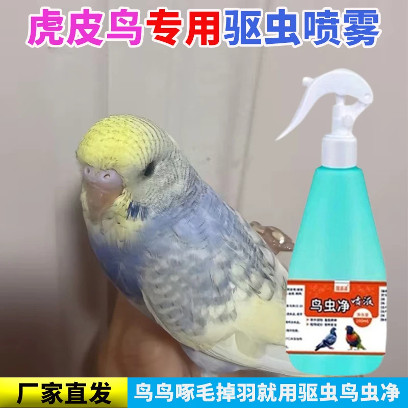 虎皮鹦鹉驱虫喷剂中小型鹦鹉鸟用驱虫除臭剂不伤鸟除跳蚤虱子螨虫