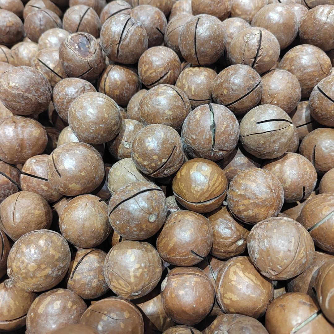 散称夏威夷果1斤