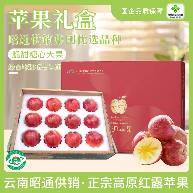 昭供有品冰糖心云南昭通高原红露苹果12枚礼盒装脆甜多汁新鲜现摘