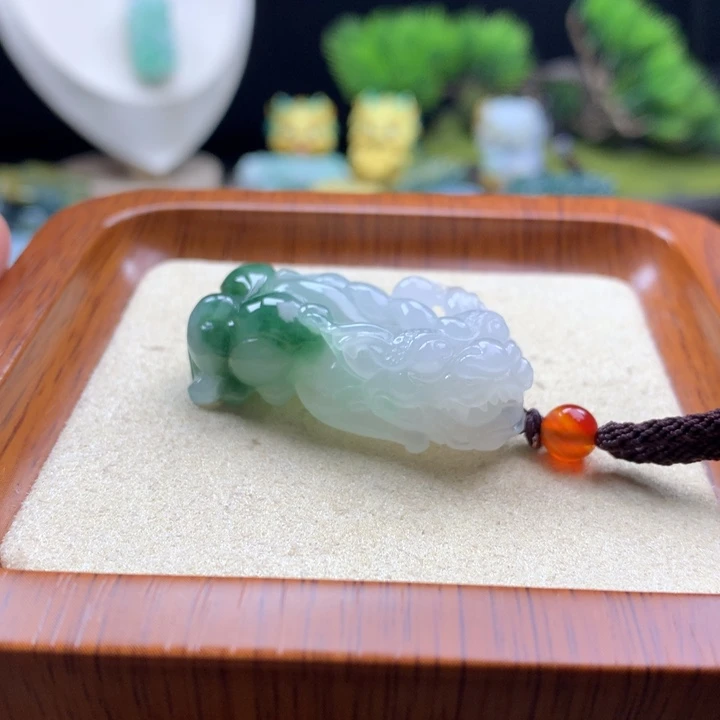 翡翠未镶嵌颈饰貔貅25