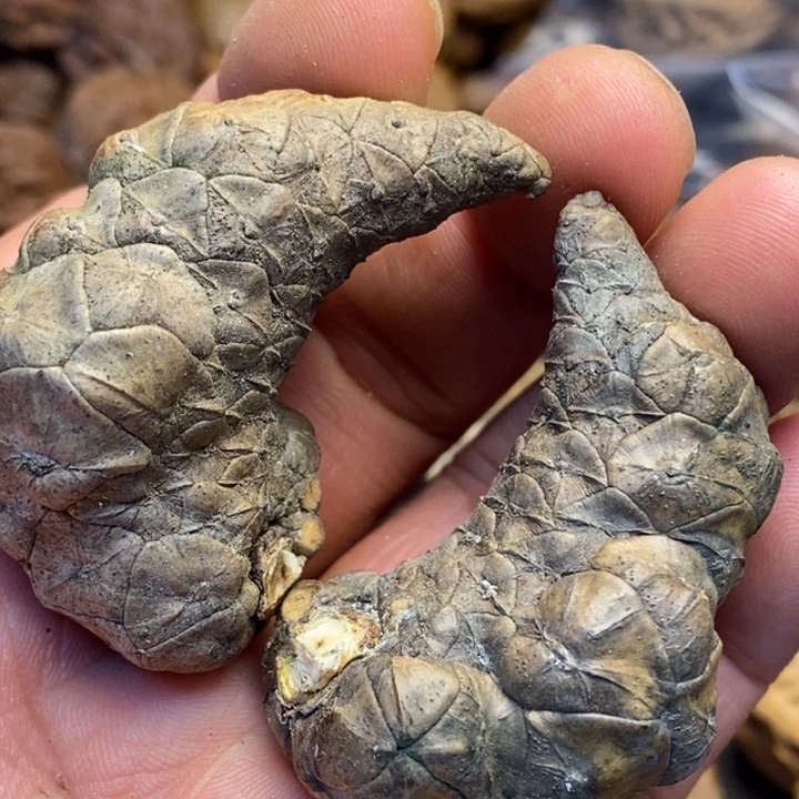 文玩核桃吊坠娜姐5