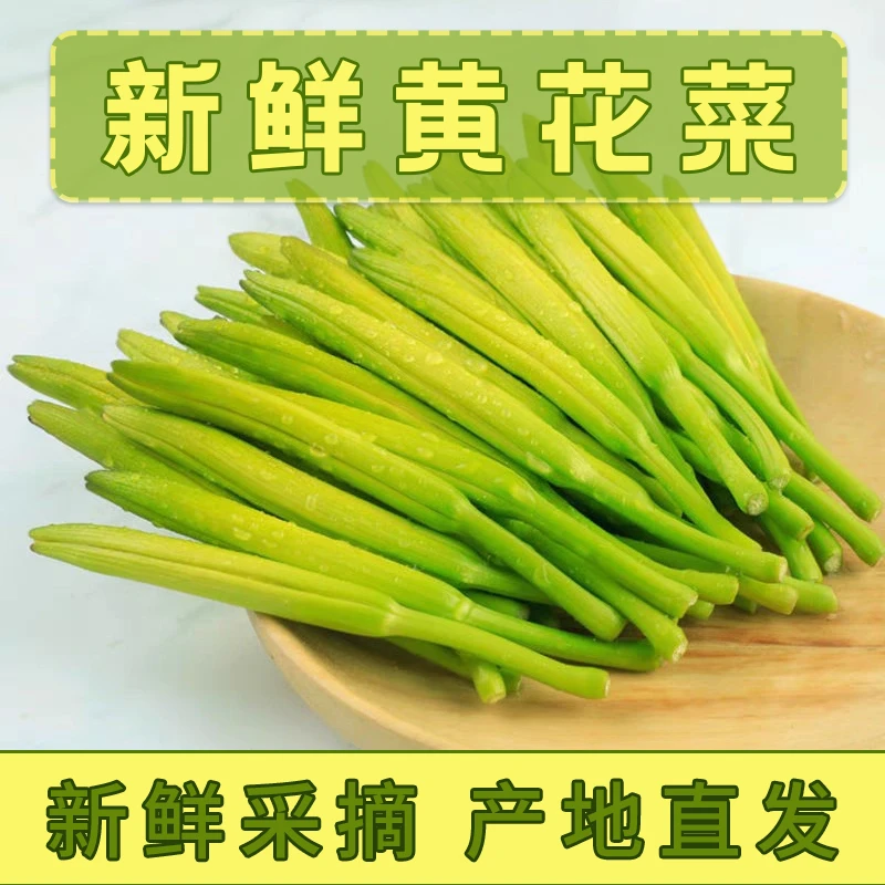 【新鲜黄花菜】当季黄花菜新鲜现摘现发农家食用金针菜土特产