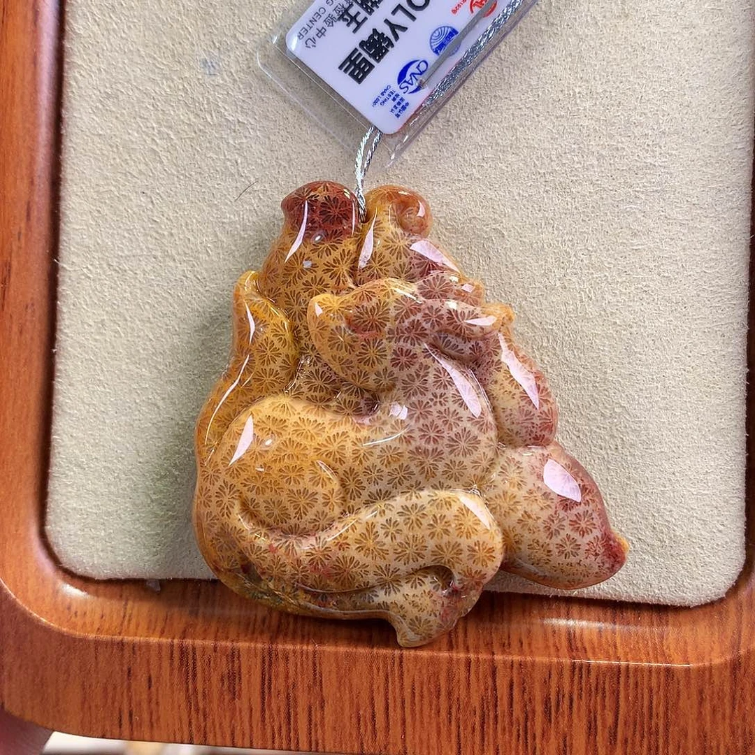 硅化珊瑚（珊瑚玉）未镶嵌吊坠(赠链)（52号）上新雕刻