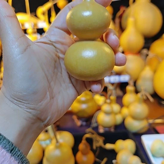 谢***逗大叶紫檀（黑酸枝木类）