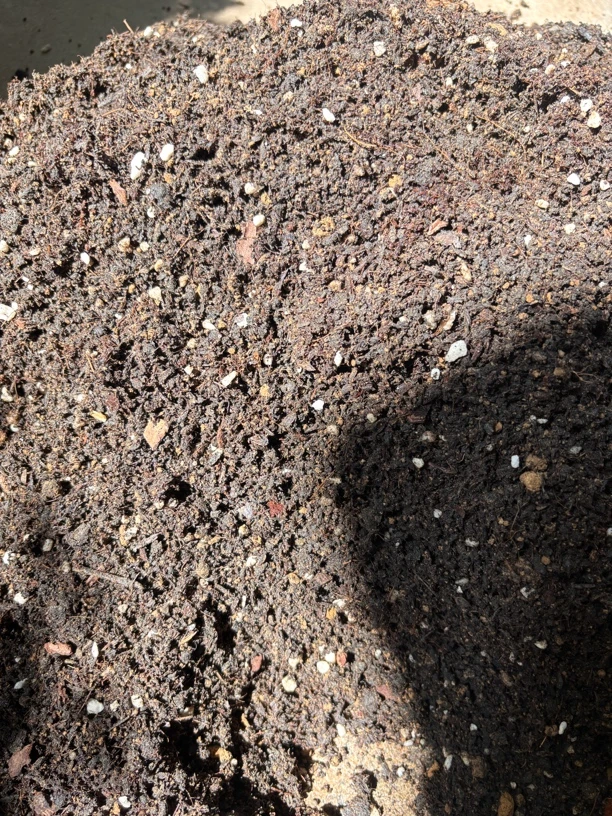 流泉枫专用土疏松透气特培基质土