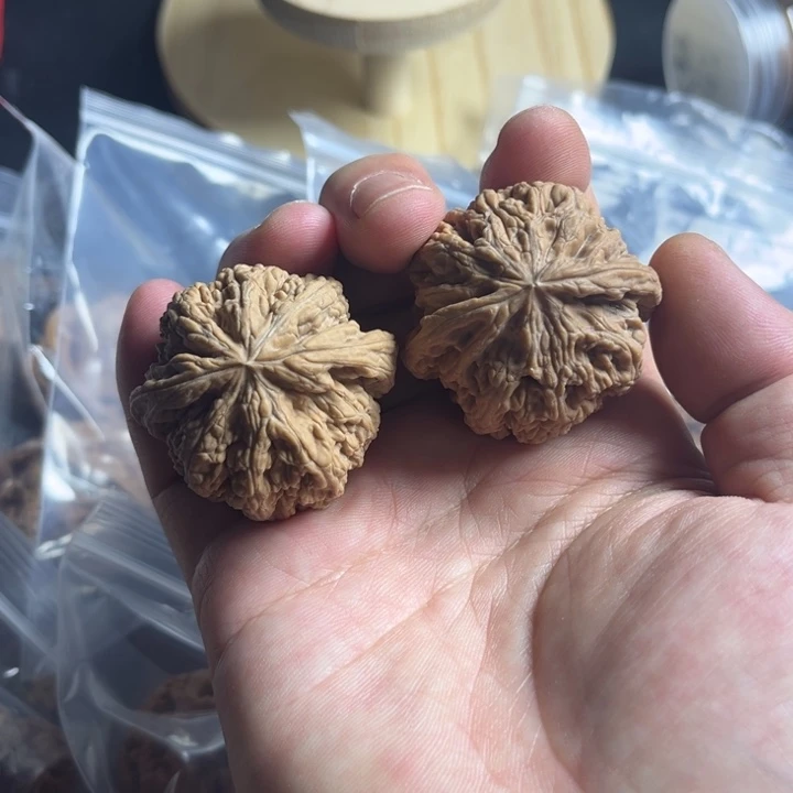 吊坠桃核全品大粗筋