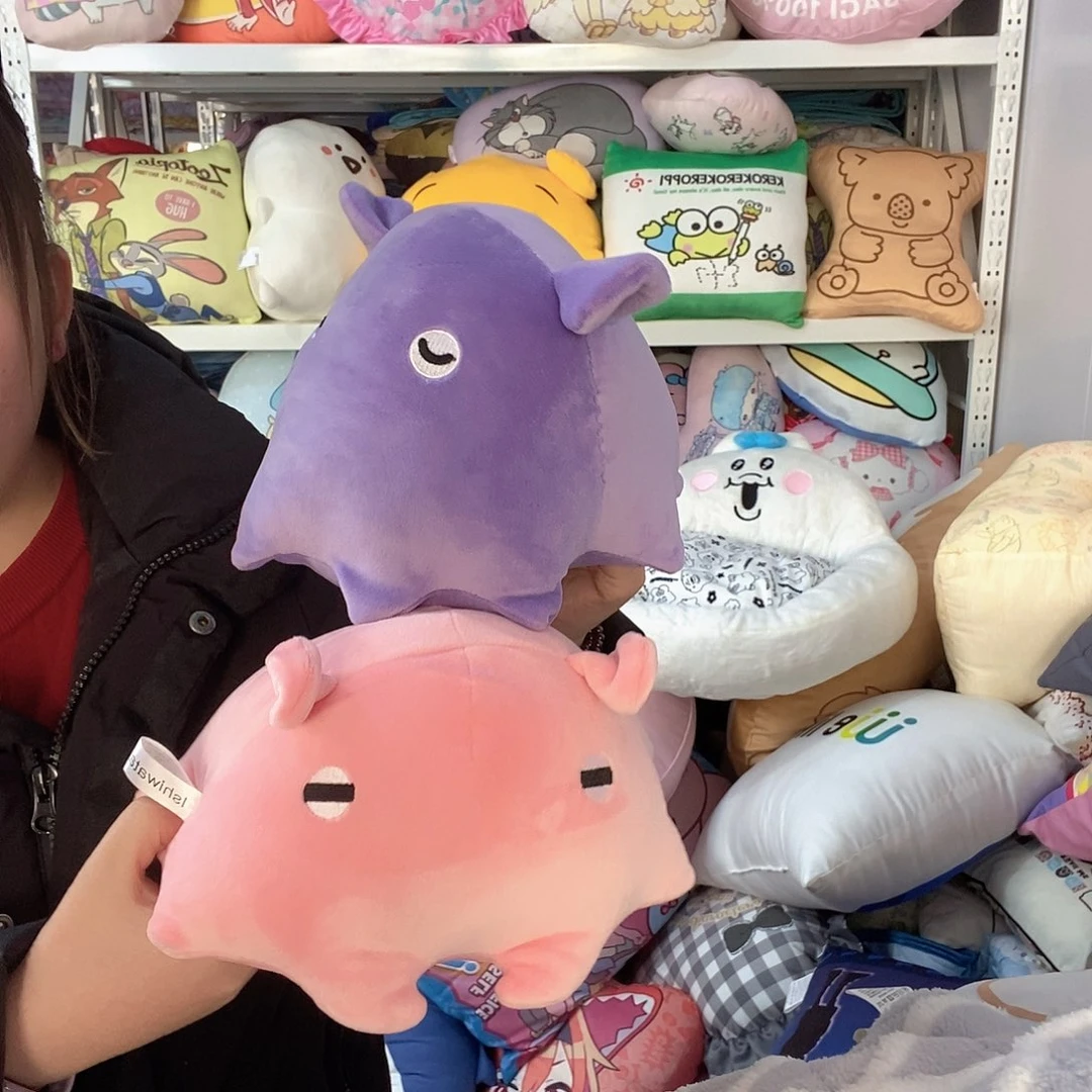 2个。 小抱枕。 微瑕