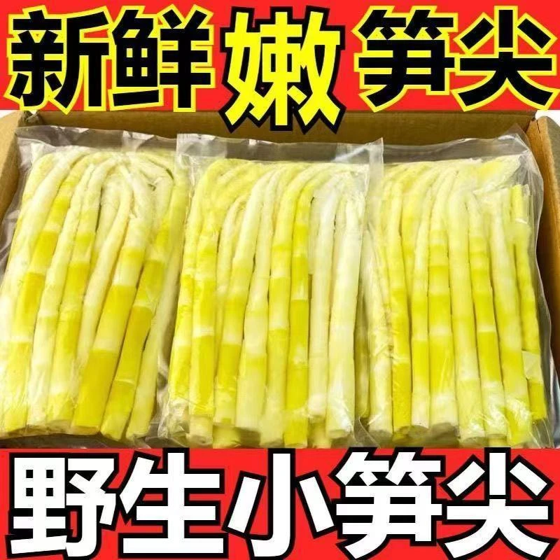 清水小竹笋江西特产竹笋笋尖清水袋装野生春笋火锅专用新鲜小竹笋