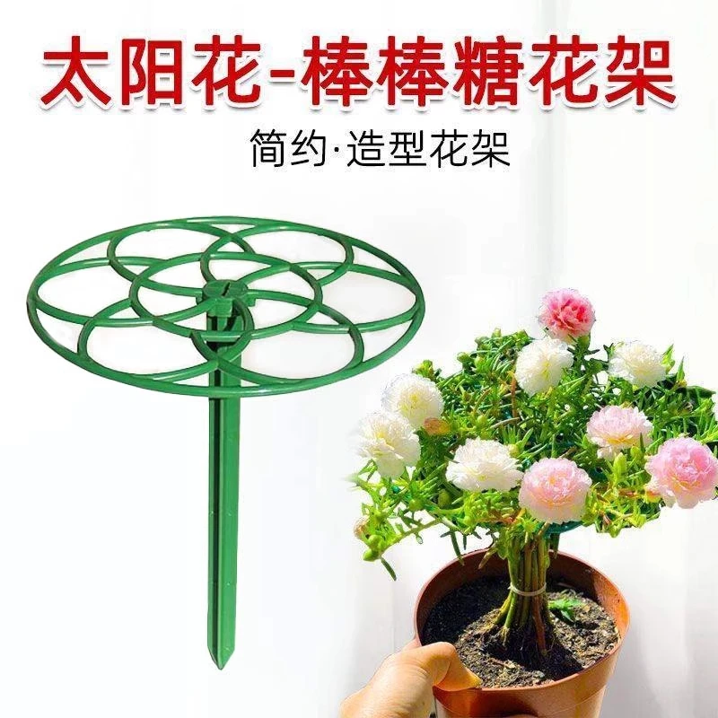 太阳花棒棒糖造型支架叶仙人掌蟹爪兰嫁接用单层多层支撑固定花架