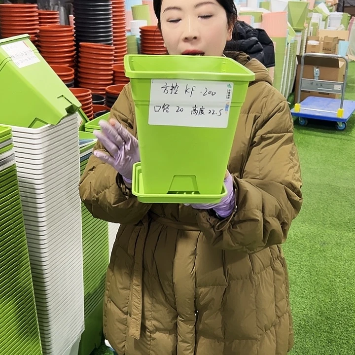 正品方盆口20高22果绿10只带托