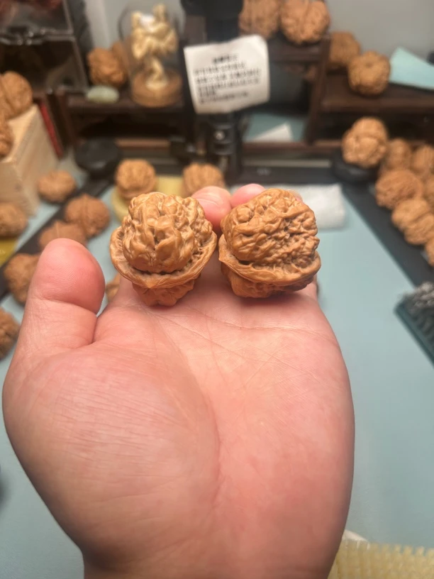 三角剑毒三角恶蟾四开背掐腰蛤蟆头