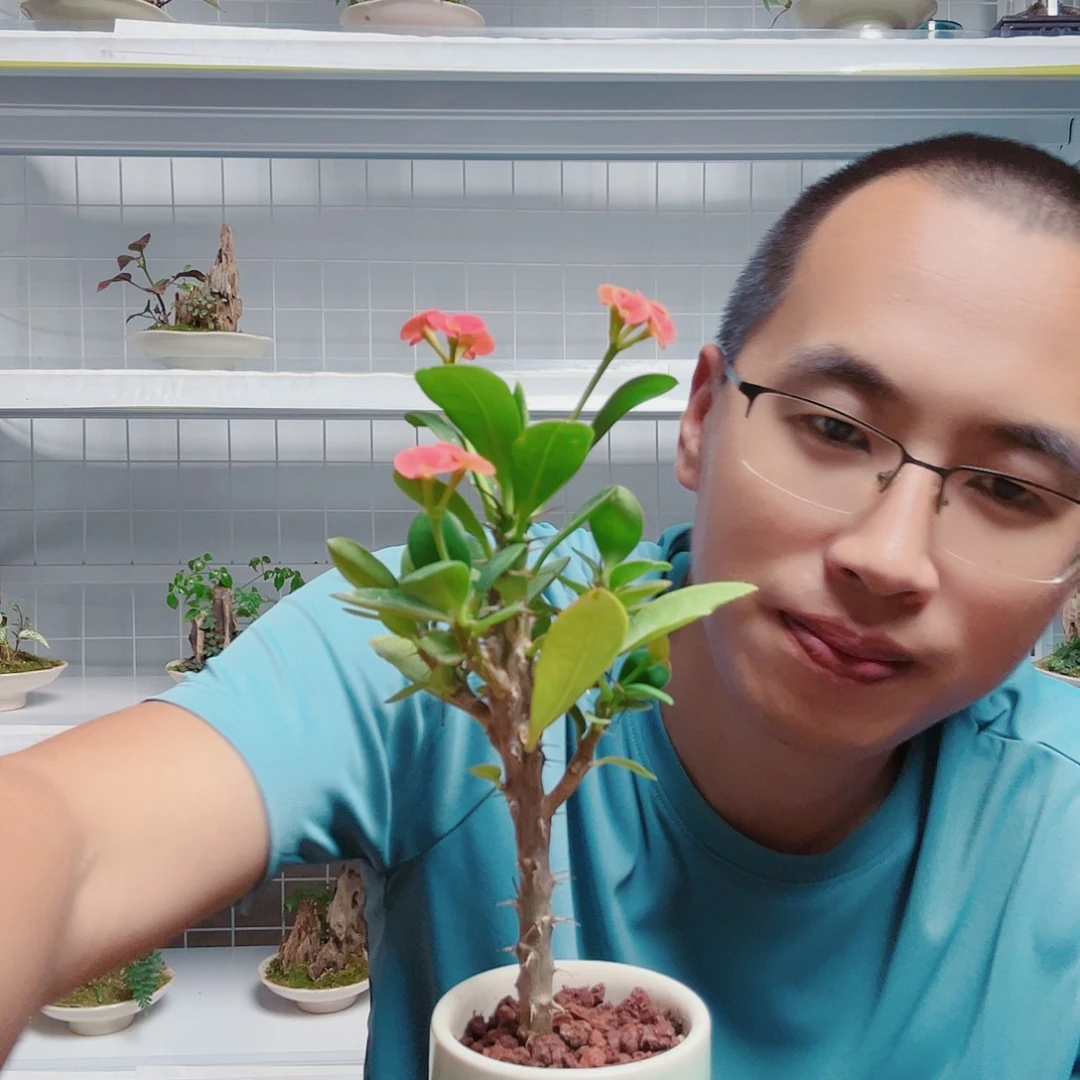 无花朵小*天59