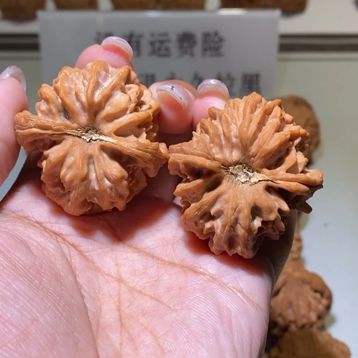 W***Q核桃手串/手链大龙
