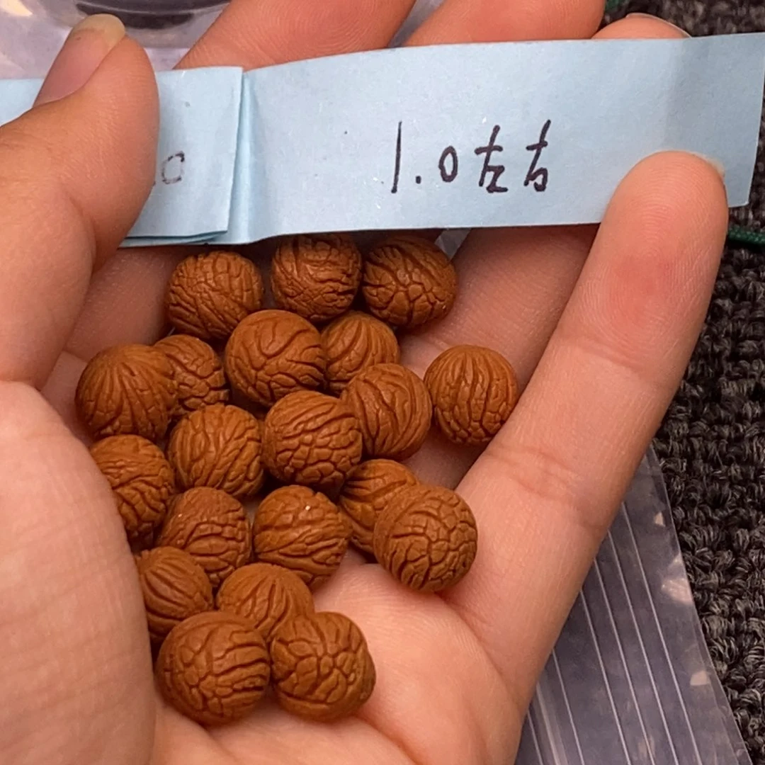 秦岭山脉龙纹桃核