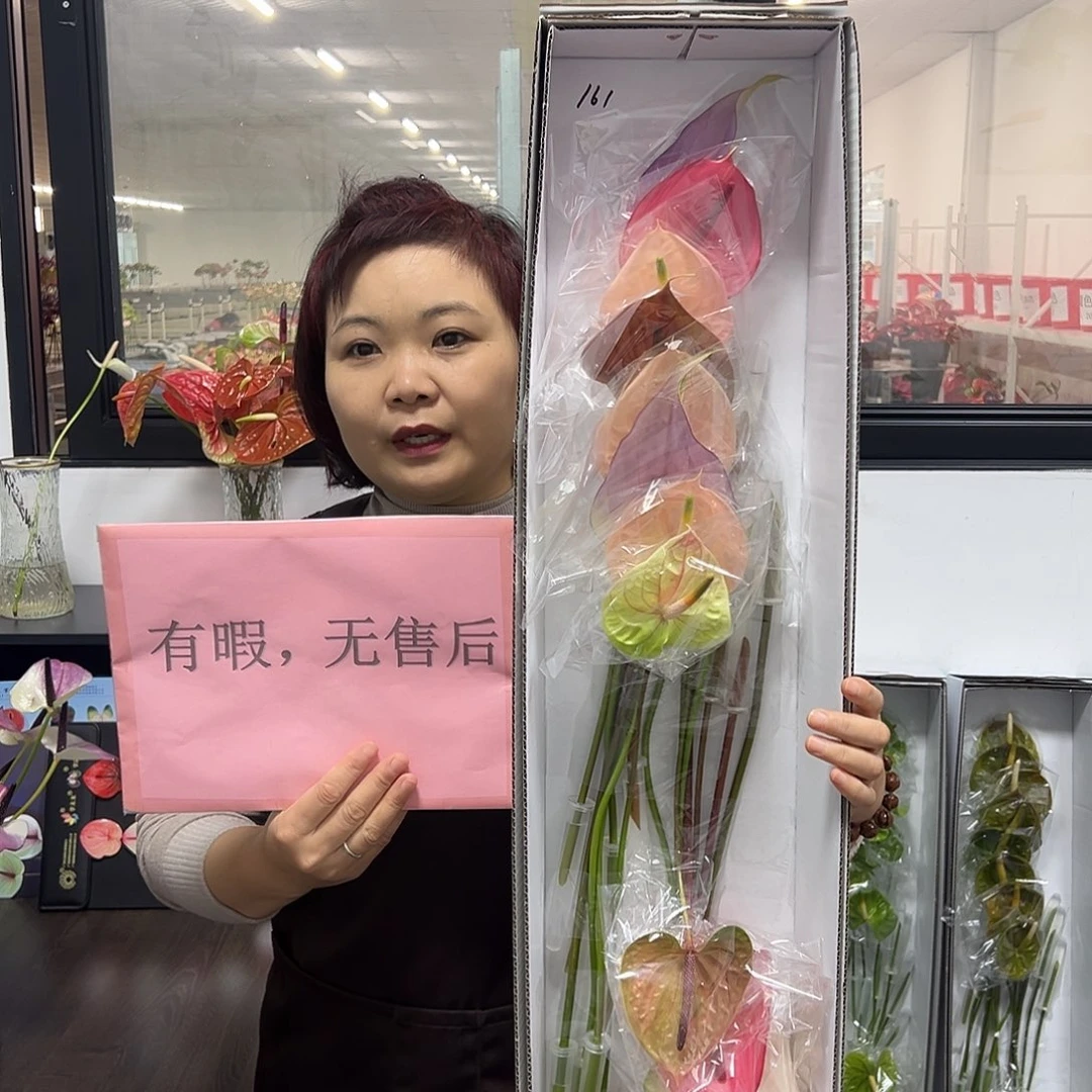 完全开放混色-16枝装无售后款161