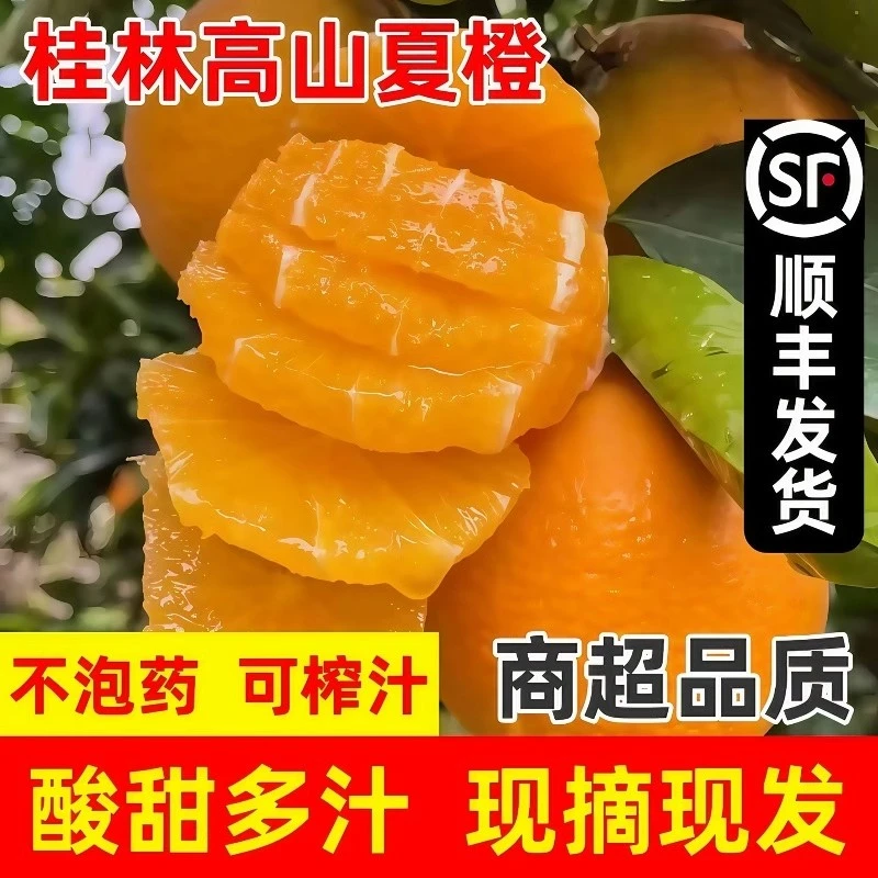 正宗广西夏橙冰糖橙桂林高山手剥橙子顺丰水果孕妇酸甜榨汁果冻橙