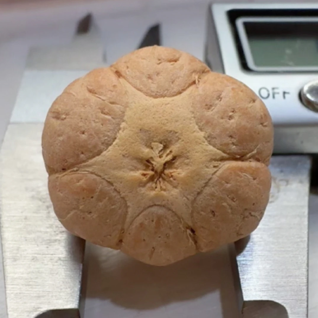 【H0134】板中王·六芒星 19.7x14mm 玉化果冻料 开角对称