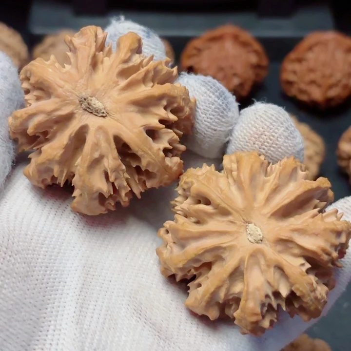文玩核桃把件秦岭灯笼8