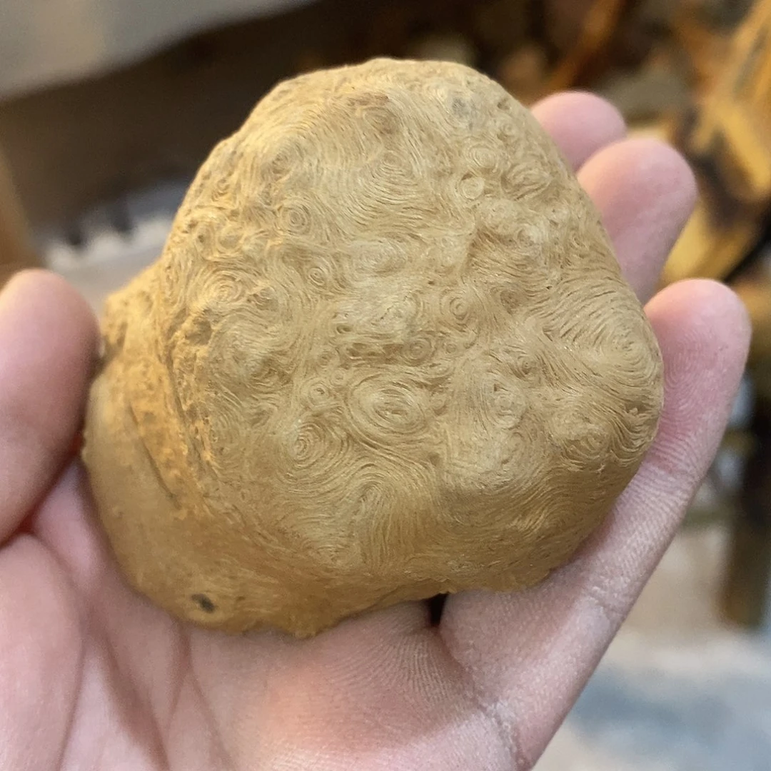 荔枝木鹏荔枝木香炉