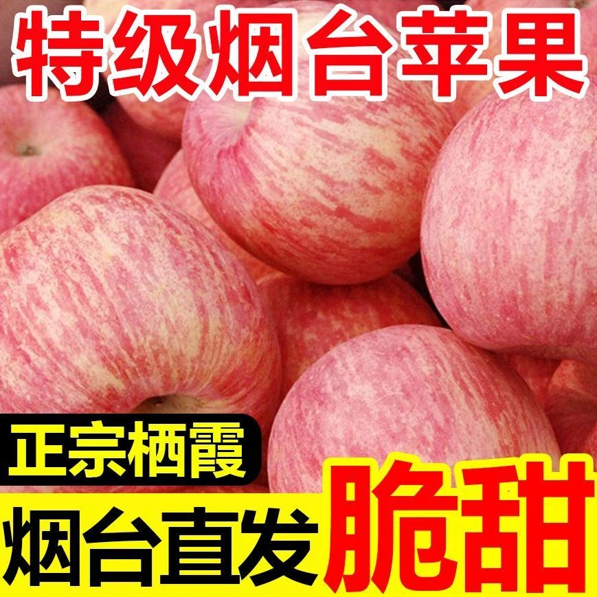 星黎正宗山东烟台栖霞红富士苹果脆甜多汁原产地直发 带箱5斤 果