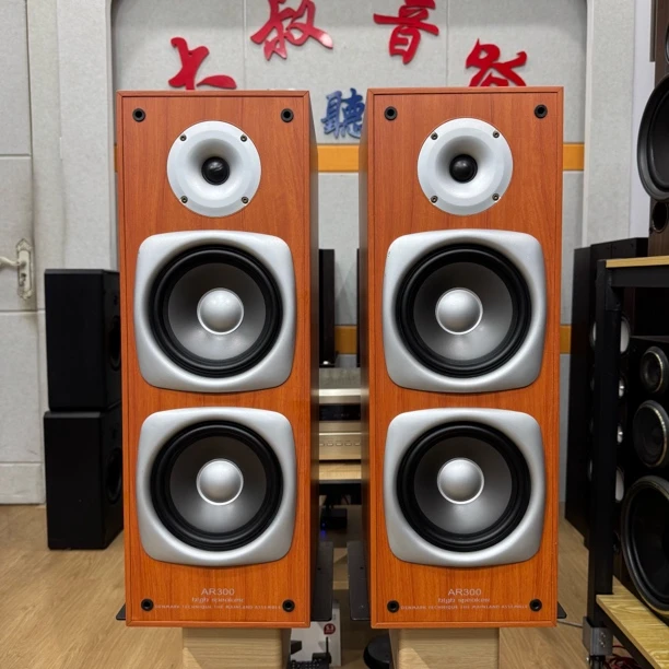 9新  丹麦意达诗AR300书架音箱一对，正常使用，运费自理