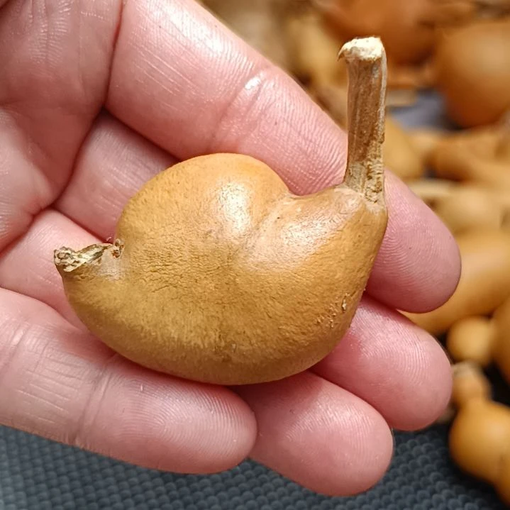 ?****r葫芦好看葫芦好看葫芦好看葫芦