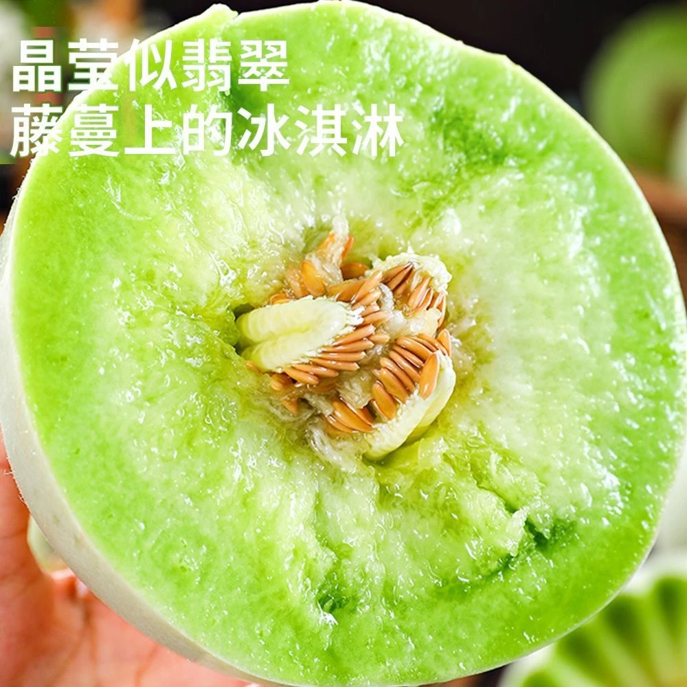B山东头茬玉菇冰淇淋甜瓜带箱5斤装产地直发软糯香甜冰淇凌甜瓜1