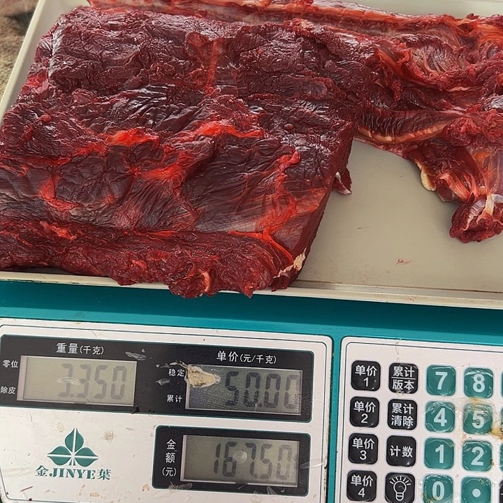 广西土耕马马肉、沙姜炒马肉中国大陆