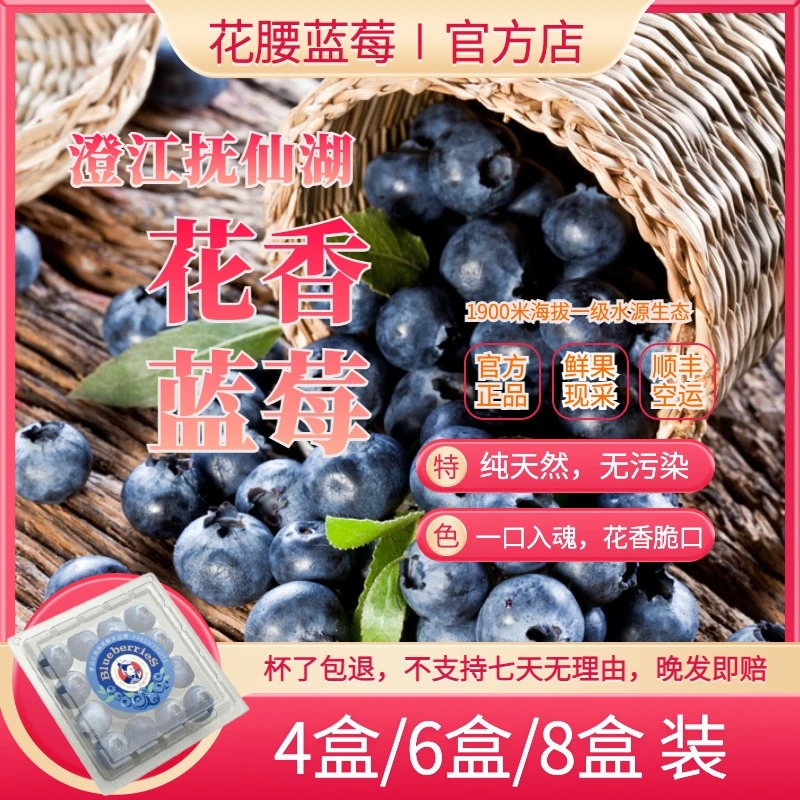 【福星专属】 云南澄江抚仙湖 花香蓝莓