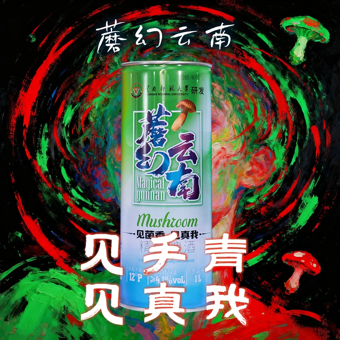 星云湖蘑幻云南牛肝菌精酿啤酒见手青啤酒送人礼盒云南特产1L*4罐