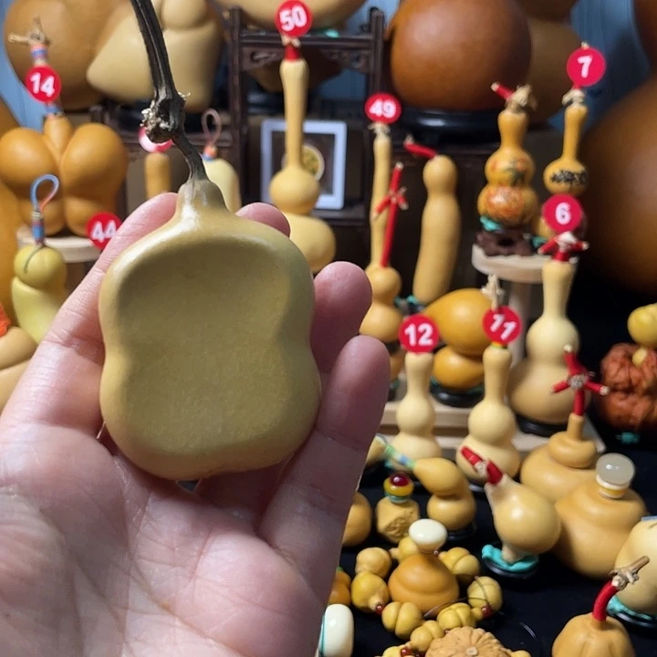 是***呀葫芦丝老师真的不喜欢我们