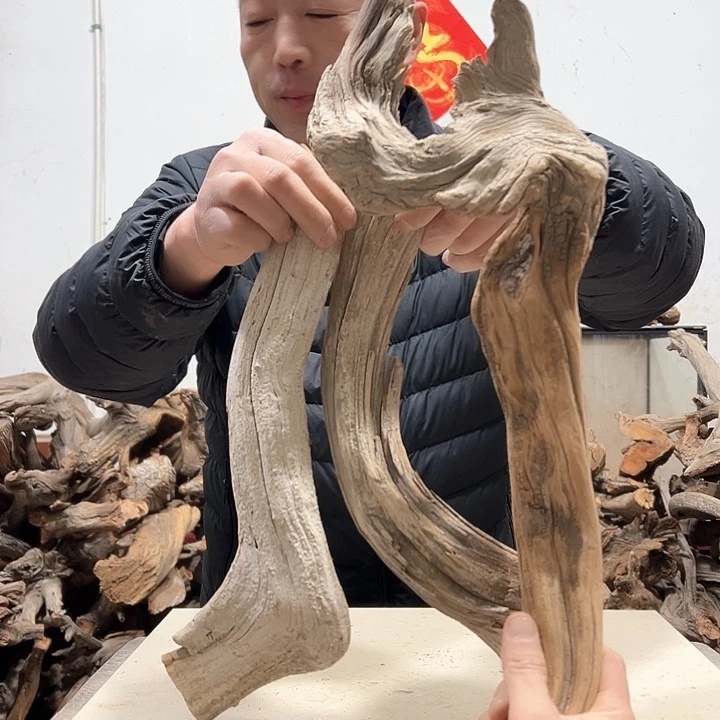 柏木不**问我们的生活也是如此