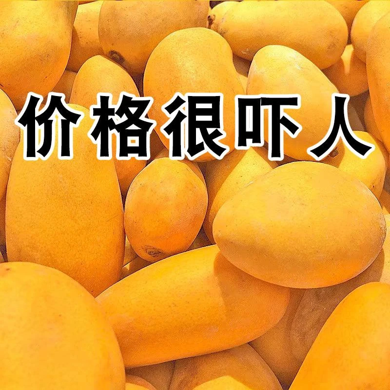 【价格吓人】小台芒当季新鲜现摘应季水果鸡蛋芒薄皮台农芒果整箱