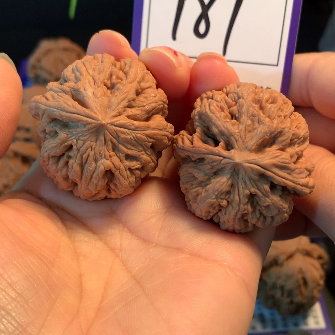 把件文玩核桃187粗筋4.0