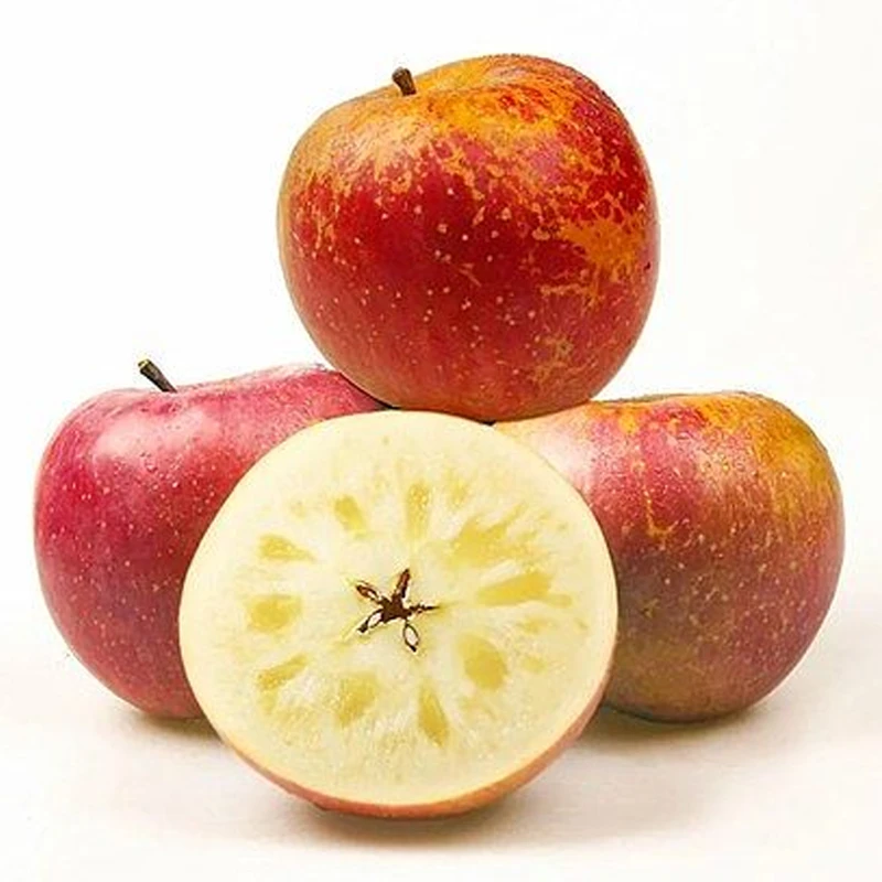 四川大凉山丑苹果冰糖心脆甜多汁新鲜当季水果产地现摘