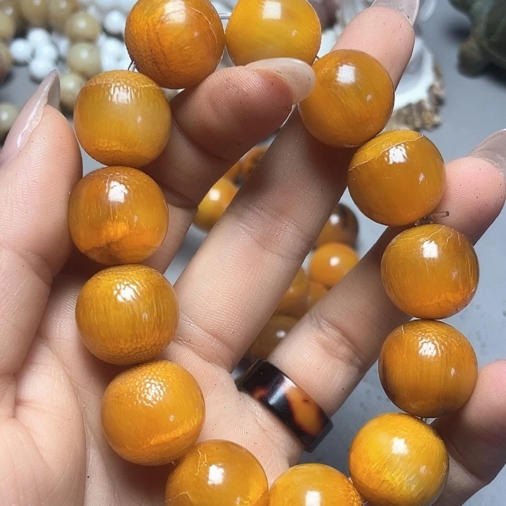 大果紫檀（缅甸花梨）