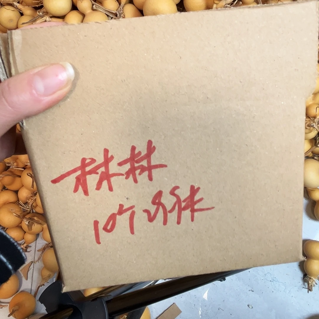 天然小美葫芦十个