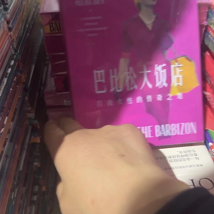 微瑕刷边巴比松大饭店