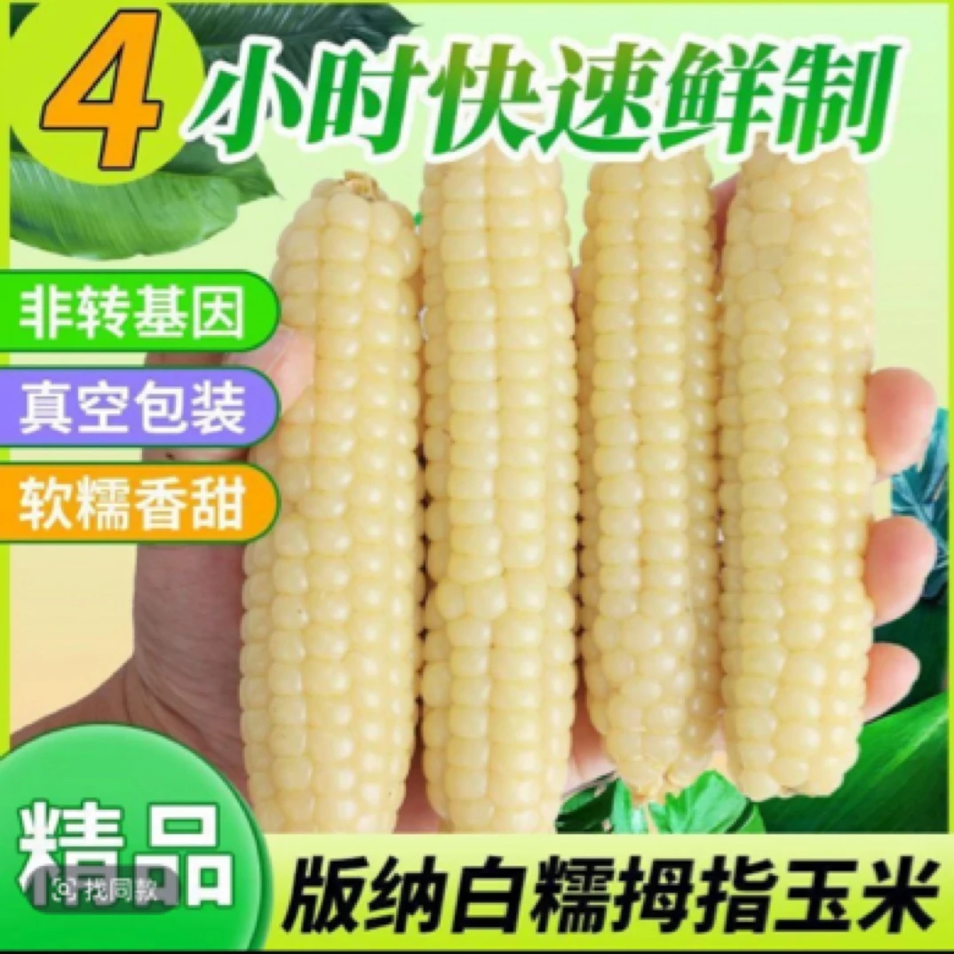 西双版纳拇指玉米小孩辅食软糯香甜产地直发