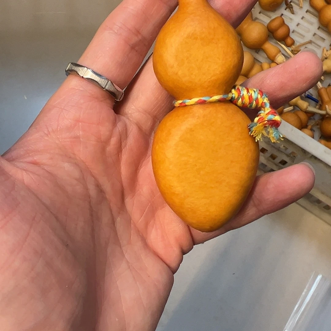 ~****蚂蚁夹扁三年老皮