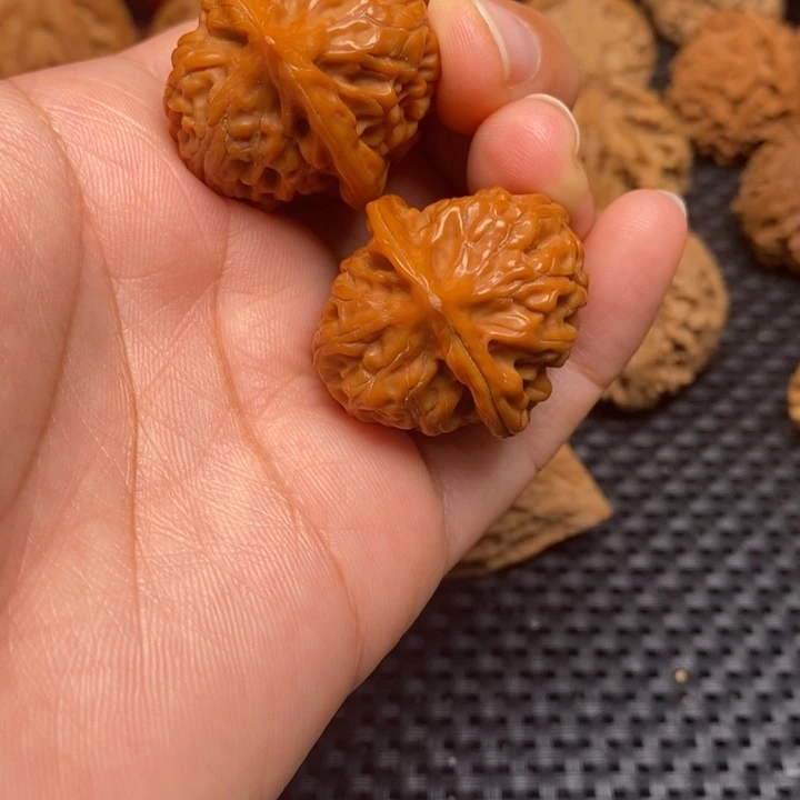 秦岭野生111111111111