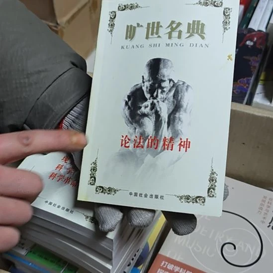 论法的精神平装库存书